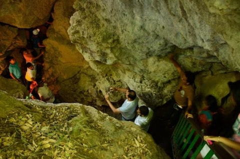 Eco Cave Gardens